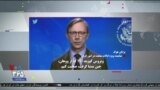 اخبار شامگاهی