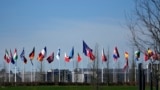 资料照片：在北约布鲁塞尔总部外，各成员国旗帜随风飘扬。(2024年3月14日)