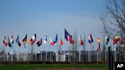 ARCHIVO - Banderas de los países miembros de la OTAN ondean al viento afuera en la sede de la OTAN en Bruselas, el 14 de marzo de 2024.