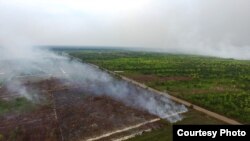 Foto udara "Save Our Bornoe" menggambarkan kawasan yang terbakar di Kalimantan Tengah. (Foto courtesy: SOB)