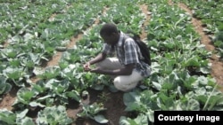 Aboubacar Sidy Sonko, sur le terrain à RAO, nord du Sénégal, le 31 janvier 2013.