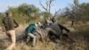 S. Africa Rhino Poaching Falls, but Spreads