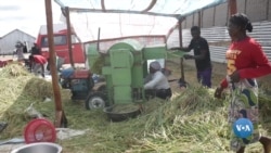 ໄນຈີເຣຍເປີດຕົວຂໍ້ລິເລີ່ມສໍາລັບການສົ່ງອອກກະສິກໍາ