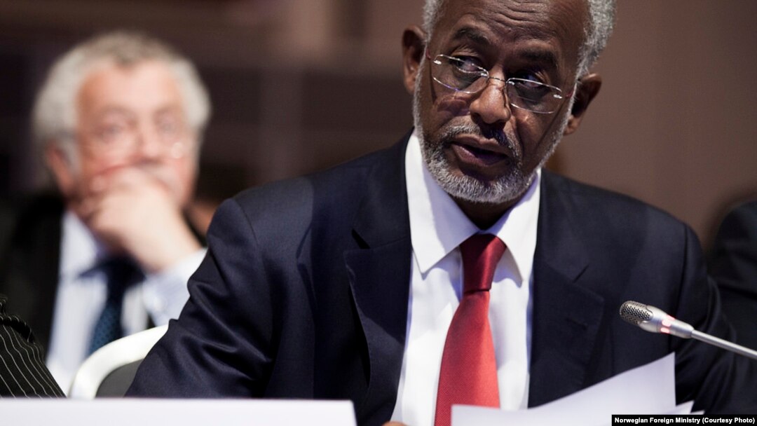 Uwahoze ari umushikiranganji w'imigenderanire wa Sudani Ali Karti mu nama y'abafasha Sudani