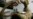 UN Panel Questions Iraq Over Use of Torture