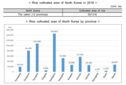 한국 통계청이 공개한 2019년 북한 벼 재배면적조사 결과