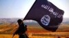 В США арестованы двое мужчин, собиравшихся стать боевиками ИГИЛ