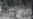 Taliban hint at shielding anti-Pakistan militants in Afghanistan as 'guests'