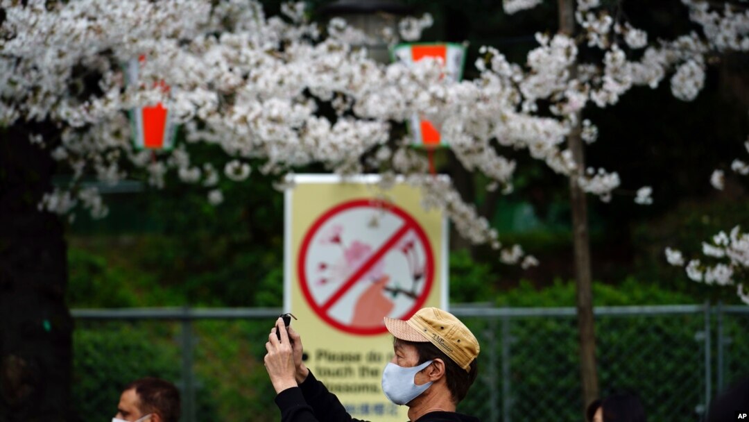 Para pejalan kaki mengenakan masker di tengah pandemi COVID-19, saat berjalan di bawah pohon bunga sakura di Tokyo, Jumat, 26 Maret 2021. (Foto AP / Eugene Hoshiko)

