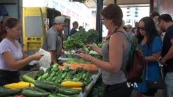 Immigrants Thrive at Minnesota Farming Co-Op