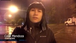 Celia Mendoza's Video Report From Houston