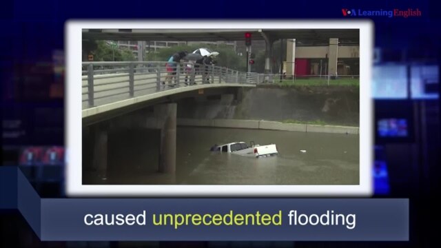 News Words - VOA