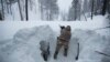 A U.S. Marine covers a machine gun in a trench while preparing for advanced cold-weather training at the Marine Corps Mountain Warfare Training Center on Saturday, Feb. 9, 2019, in Bridgeport, Calif. (AP Photo/Jae C. Hong)