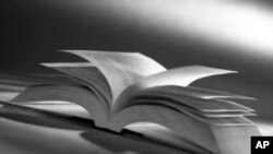 فه‌رهه‌نگ و تۆره‌ی کوردی: سیامه‌ند هادی چیرۆکنوس