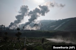 A farmer tends to a field as steam rises from a geothermal power plant in Dieng, Central Java, Indonesia, Nov. 15, 2024. (AP Photo/Beawiharta)