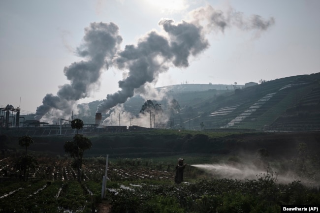 A farmer tends to a field as steam rises from a geothermal power plant in Dieng, Central Java, Indonesia, Nov. 15, 2024. (AP Photo/Beawiharta)