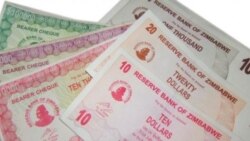 Zanu PF Activist And Economist Discuss Role of Politicians in Fiscal Matters