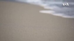 Clean This Beach Up ...
