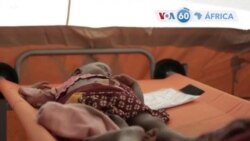 Manchetes Africanas 24 Janeiro 2020: Surto de cólera na RDCongo