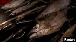 FILE - Mexican tuna is on display at a fish market in Mexico City, Mexico.