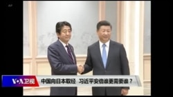 焦点对话：中国向日本取经，习近平安倍谁更需要谁？