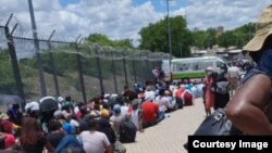 Abantu abazama ukuchapha umngcele eBeitbridge besiya kwele South Africa ngoZibandlela lonyaka... (Photo: International Cross Border Traders Association)