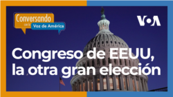 
Elecciones legislativas, tan importantes como las presidenciales.
