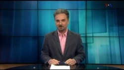 شباهنگ - ویژه