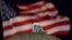 An American flag flies in the distance as a rare snowy owl looks down from its perch atop the large stone orb of the Christopher Columbus Memorial Fountain at the entrance to Union Station in Washington, Jan. 7, 2022. 