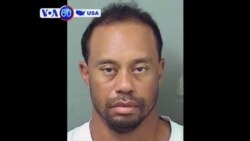 Manchetes Americanas 30 Maio: Tiger Woods culpa receita médica e nega ter conduzido sob efeito do álcool