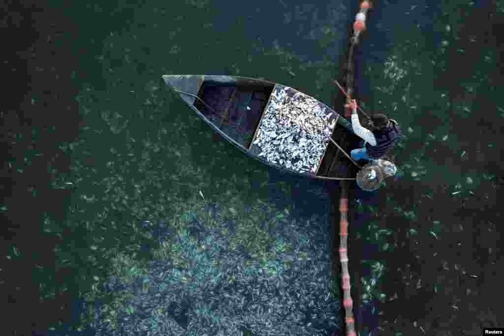 Fish farm cultivator Ioannis Ouzounoglou collects fish that died from low temperatures, at his fish farm in Richo lagoon, in Igoumenitsa, Greece, Jan. 26, 2022.