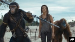 Film Review - Kingdom of the Planet of the Apes