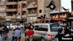 Members loyal to the Islamic State in Iraq and the Levant (ISIL) wave ISIL flags as they drive around Raqqa, June 29, 2014.