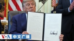 美国之音中文广播 (2026年8月11日)