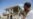 Gaza Rocket Hits Home in Israel, Military Strikes Back