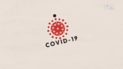 5 COVID-19 Vaccines in Last Phase of Testing
