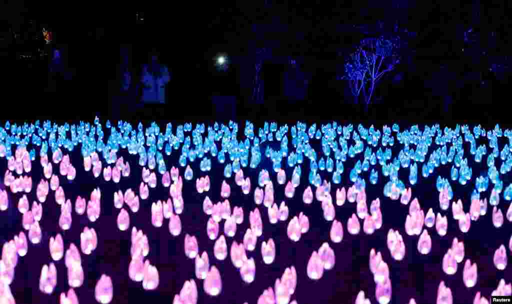 Visitors walk through &quot;Flower Power&quot; which is part of the exhibit &quot;Enchanted: Forest of Light&quot; at Descanso Gardens in La Canada Flintridge, California, Nov. 21, 2017.