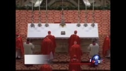 枢机主教选举新教宗的秘密会议进入第二天