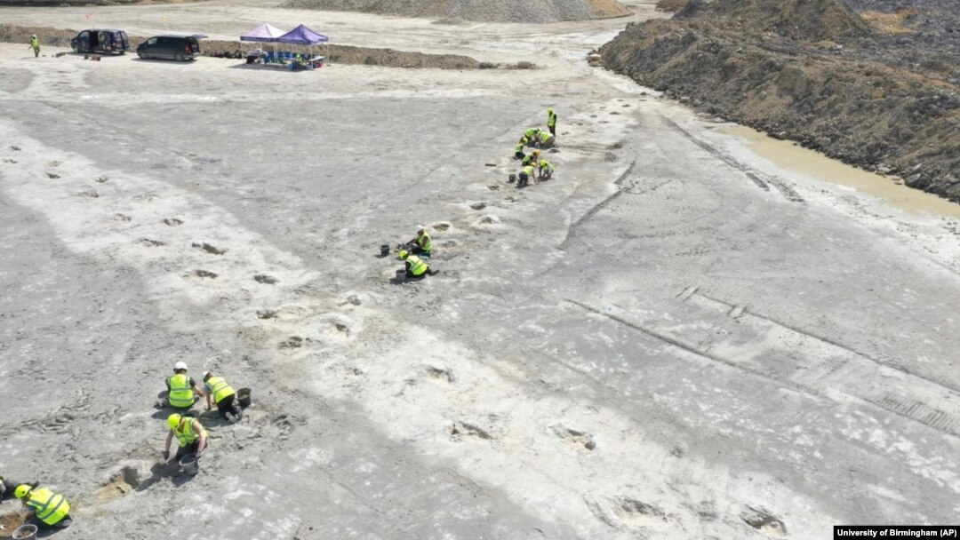 Workers uncover five extensive trackways that formed part of a “dinosaur highway,” at Dewars Farm Quarry in Oxfordshire, England, in this undated photo released Jan. 2, 2025.