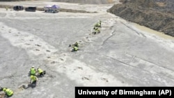 Workers uncover five extensive trackways that formed part of a “dinosaur highway,” at Dewars Farm Quarry in Oxfordshire, England, in this undated photo released Jan. 2, 2025.