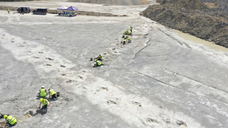 ‘Dinosaur highway’ tracks dating back 166 million years discovered in England