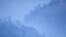 Las lluvias detuvieron las llamas y provocaron una gran nube de humo.