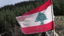 American Aid Helps Lebanon Replant Its Cedar Forests