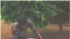 FILE - A Nigerian teen demonstrates one technique for filtering water to remove water fleas that carry Guinea worm larva in this 2005 file photo.