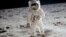 El astronauta Buzz Aldrin camina sobre la superfice de la Luna durante la actividad extravehicular del Apollo 11. [Foto: Cortesía, NASA].