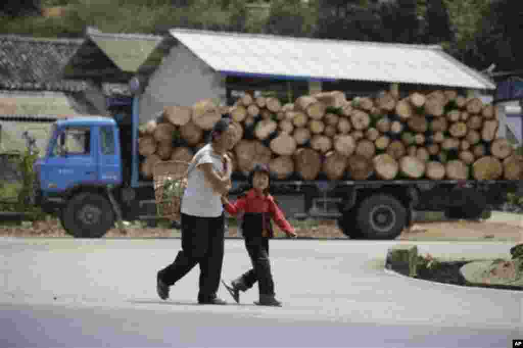 China Myanmar Logging