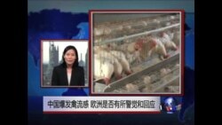 VOA连线:1)中国爆发禽流感 欧洲国家是否有所警觉和回应2)欧洲如何看待"中国对非洲援助报告"