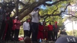 MDC Alliance Inoratidzira muHarare Ichiti Yaneta neMuitoro weZec