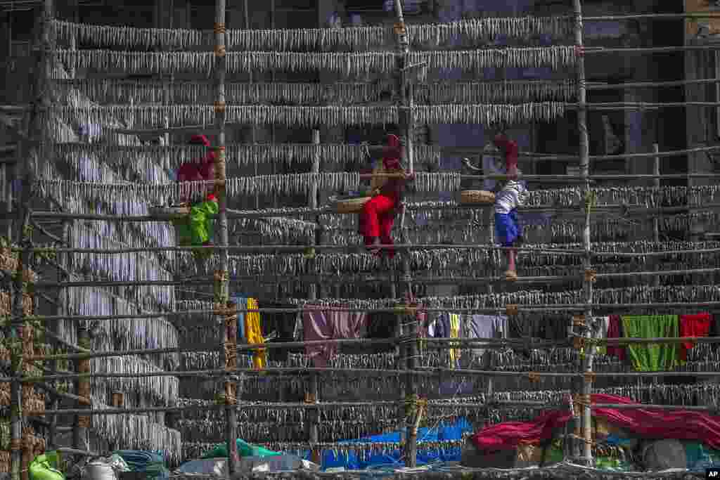 Fisherwomen hang fish on a structure made of bamboo poles to sun-dry them at a fishing colony in Mumbai, India.