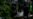 Mass Grave Exposes Entrenched Trafficking in Thailand